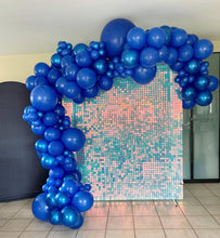 Afbeelding in Gallery-weergave laden, Opleiding balloninstallaties