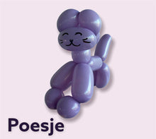 Afbeelding in Gallery-weergave laden, Workshop basis ballonplooien

