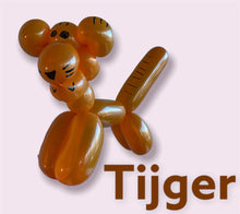 Afbeelding in Gallery-weergave laden, Workshop basis ballonplooien

